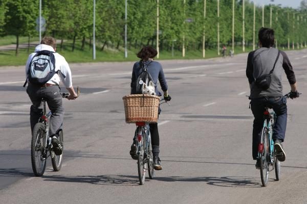 Kauno gatvėse karaliavo dviratininkai