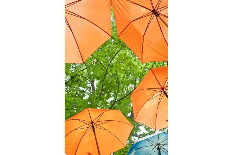Šv. Roko ligoninės alėja papuošta spalvingų skėčių girlianda 