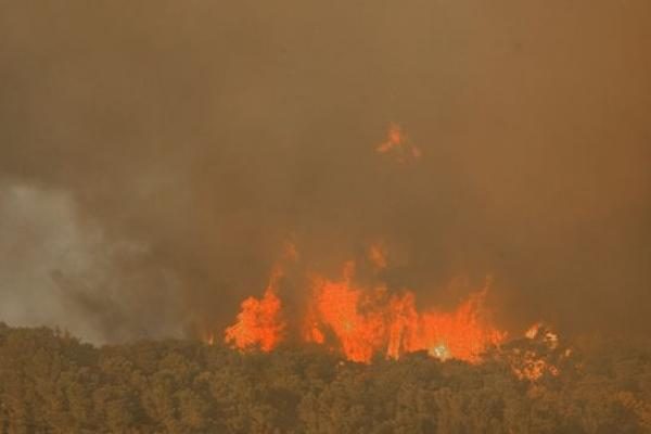 Izraelio miškų gaisras užgesintas