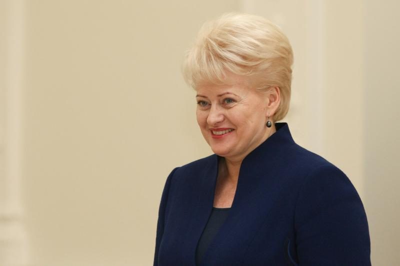 Prezidentė: biokuro katilinę Vilniuje galima pastatyti 40 proc. pigiau