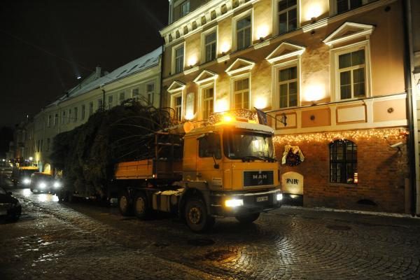 Šiąnakt į Vilniaus Rotušės aikštę atkeliavo Kalėdų eglė