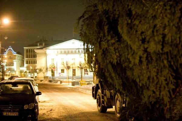 Šiąnakt į Vilniaus Rotušės aikštę atkeliavo Kalėdų eglė