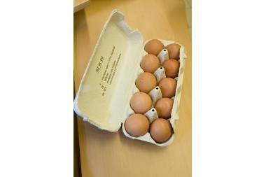 Sustabdyta nelegali prekyba kiaušiniais