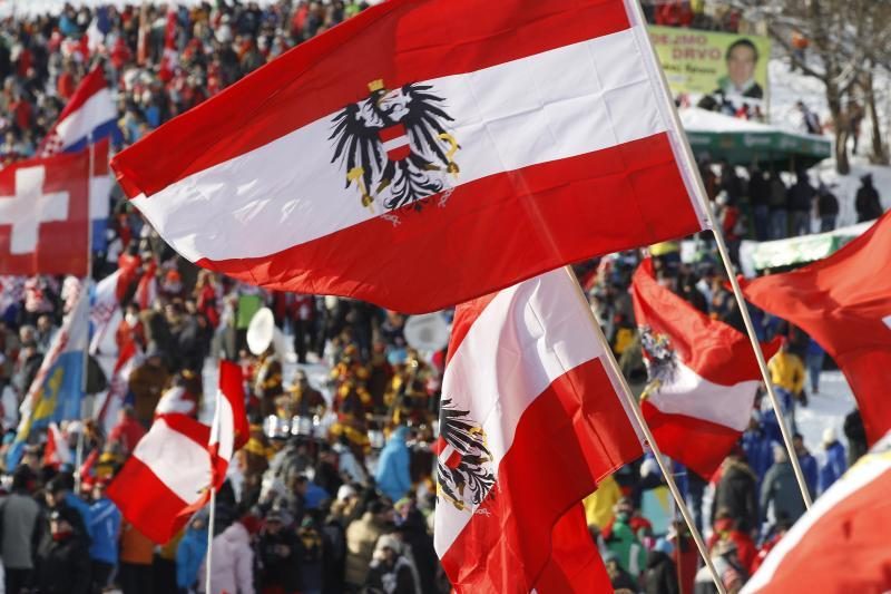 Austrijos opozicija reikalauja tyrimo dėl M.Golovatovo paleidimo
