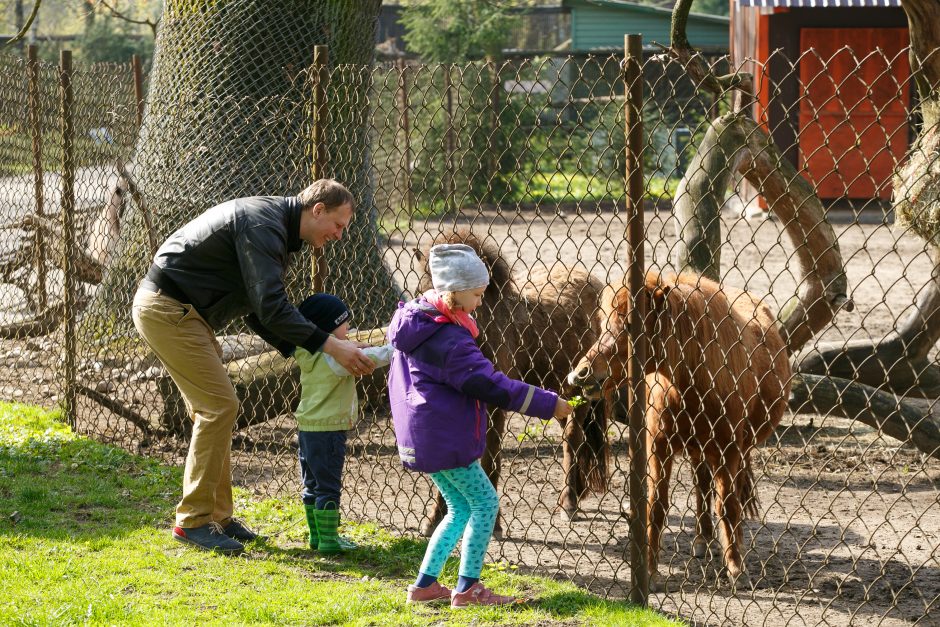 Zoologijos sodo sezono atidaryme – gyvūnų debiutai