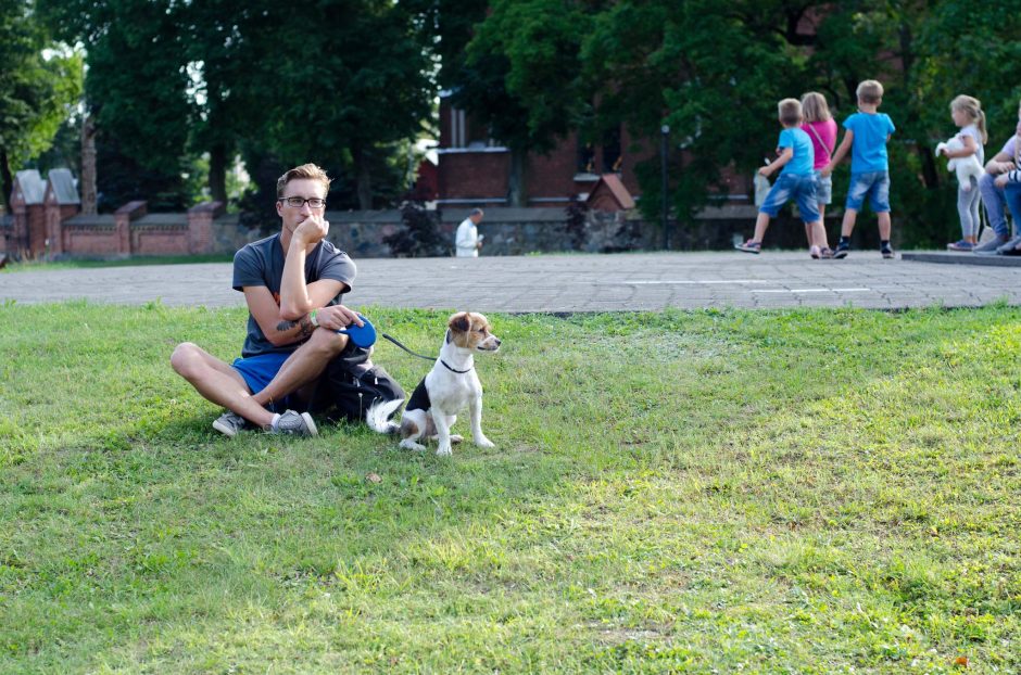 Bardų sostinėje nusileido „Purpurinis vakaras“