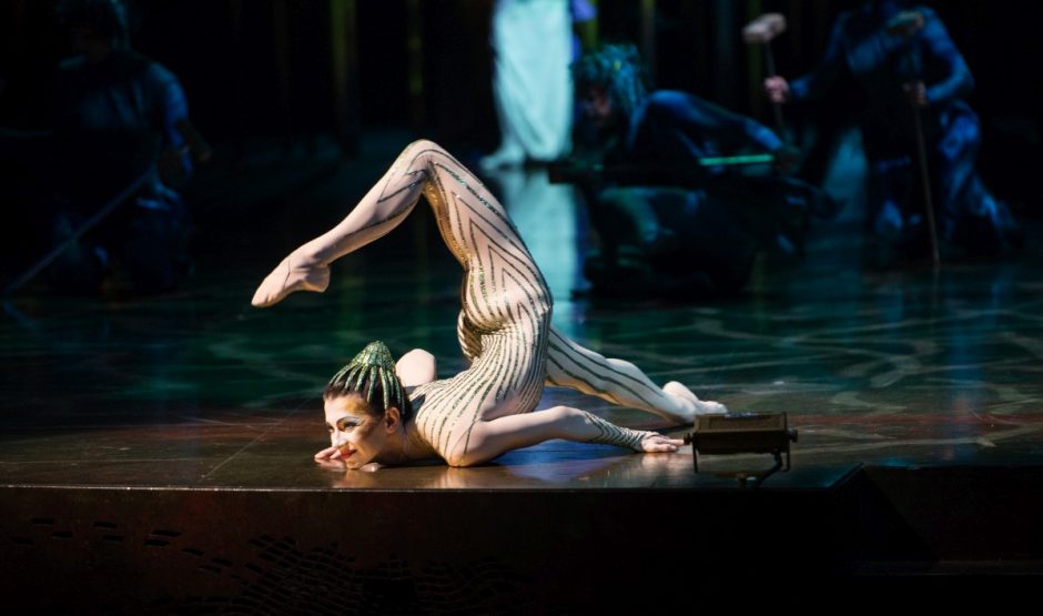 Po „Cirque du Soleil“ spektaklio „Varekai“ – žiūrovų emocijų antplūdis 