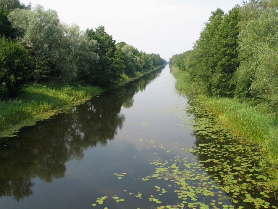 Vilhelmo kanale aptiktas skenduolis