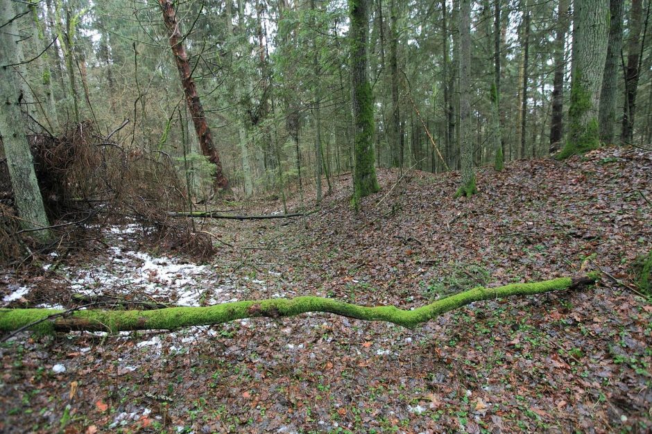 Į Kultūros vertybių registrą įrašyti du nauji piliakalniai