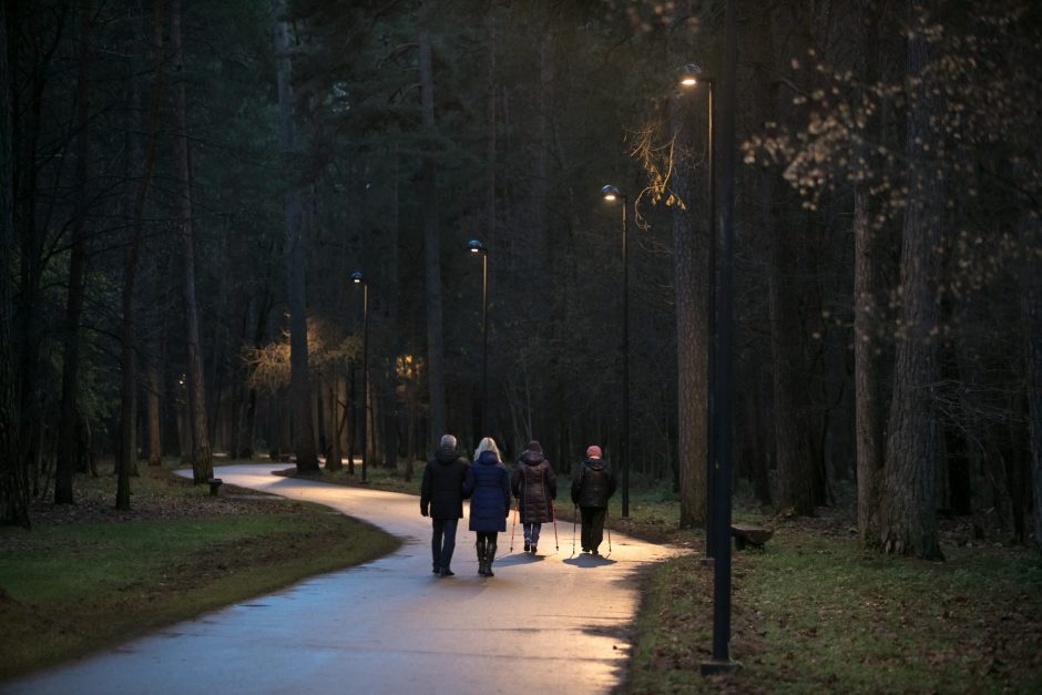 Dainų šventės dalyvius pasitiks moderniai apšviestas Vingio parkas