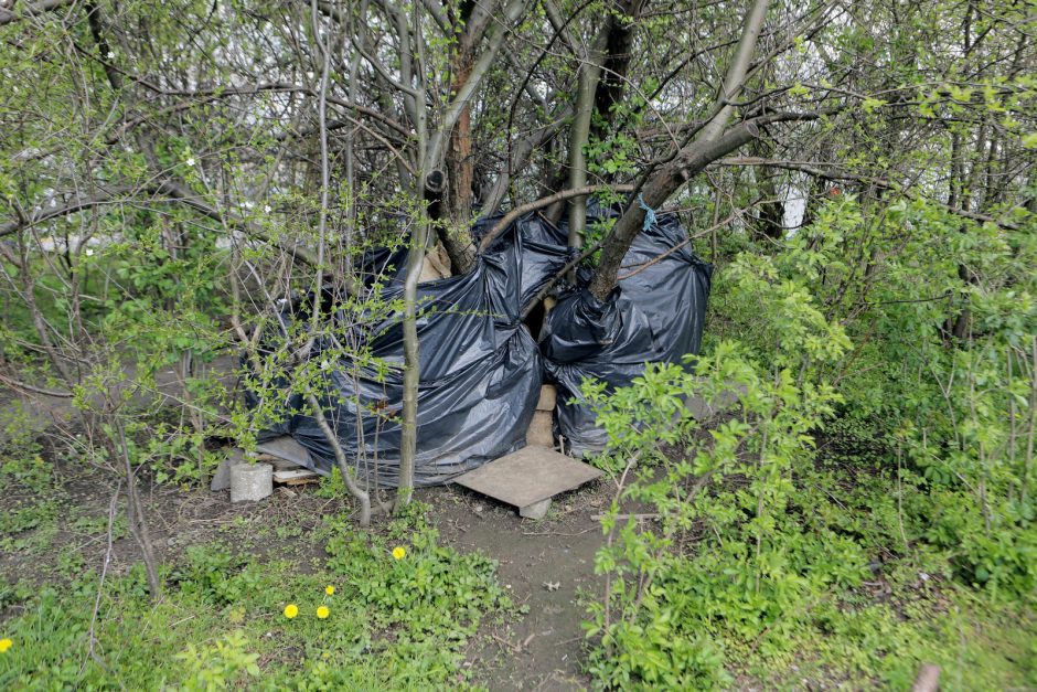 Reido rezultatai: nedrausmingi vairuotojai, švirkštai ir kačių šėrykla