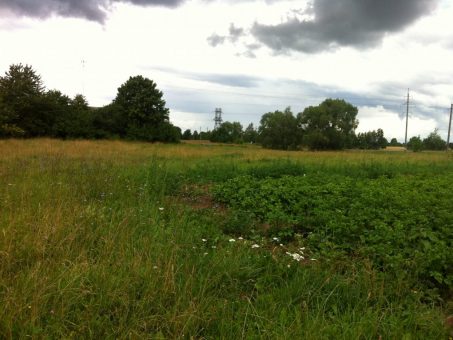 Skelbimas - Parduodama sodyba Purvininkų k., Prienų raj. sav.