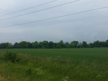 Skelbimas - Parduodamas sklypas Liogailiškių k., Kėdainių rajone