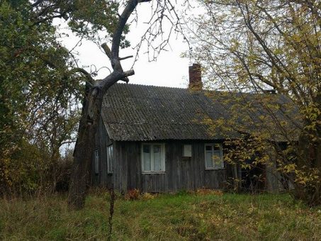 Skelbimas - Parduodama sodyba-vienkiemis Kriaučiūnų k., Panevėžio r.