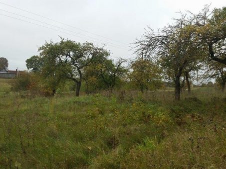 Skelbimas - Parduodama sodyba-vienkiemis Kriaučiūnų k., Panevėžio r.