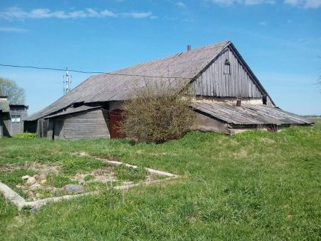 Skelbimas - Parduodama tvarkinga sodyba Duorpių k., Kupiškio rajone