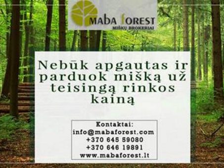 Skelbimas - Nebūk apgautas ir parduok mišką už teisingą rinkos kainą!