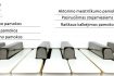 Skelbimas - Dainavimo/Pianino/Akordeono pamokos