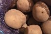 Skelbimas - Bulvės užaugintos be trąšų