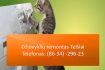 Skelbimas - Dziovykliu remontas Telsiai 863429623