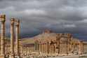 Palmyros miestas