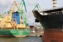 Tendencija: Klaipėdos uoste krovinių augimas ir atplaukiančių laivų kiekiai dar vis didėja.