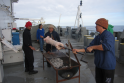 Pamestuose laivuose ir tokiu būdu jūrininkams tenka ruošti maistą.