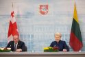 D. Grybauskaitės ir G. Margvelašvilio susitikimas Vilniuje.
