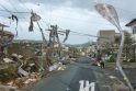Japoniją vėl sukrėtė žemės drebėjimas   