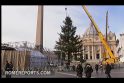 Vatikano pagrindinėje aikštėje iškilo Kalėdų eglė