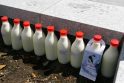 Brangs pieno tyrimai, ūkininkai bijo bankrotų