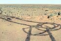 NASA su šypsena: Marse gyvybės paieškoms „įdarbintas“ falas