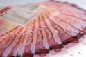 Seimas patvirtino nacionalinį biudžetą