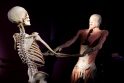 Prieštaringai vertinamoje parodoje – žmonių kūnai ir jų dalys