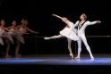 „Gulbių ežero“ balerinos šoko Galvės ežere  