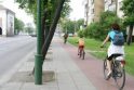 Nepatogumai: Pilies gatvėje šaligatviais pėstieji turi dalytis ir su dviratininkais, ir su medžiais.
