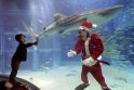 Šventės: iki Kalėdų dar liko daugiau nei mėnuo, tačiau visas pasaulis aktyviai rengiasi šventėms. Japonijos miesto Osakos svečiai ir gyventojai gali pamatyti su žuvimis akvariume...