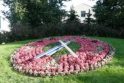 Populiariausias: vienas lankomiausių Ventspilio objektų – vienintelis Latvijoje veikiantis gėlių laikrodis, esą rodantis gana tikslų laiką, kuris tikslinamas palydovu.