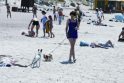 Pažeidėjai: šunis į paplūdimį gyvūnų mylėtojai atsiveda ir šiltomis dienomis, kai čia pilna poilsiautojų.
