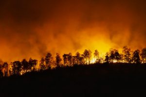 ES klimato agentūra: rugsėjis buvo karščiausias per visą istoriją