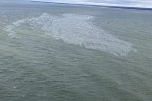 Aplinkosaugininkai pradėjo „Orlen Lietuvos“ patikrinimą dėl į jūrą išsiliejusios naftos