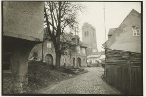 Fotografo R. Urbono 37 kadras: praūžusių epochų staugsmas