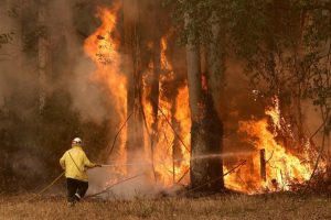 Australijos tyrėjai perspėja: vėliausi krūmynų gaisrai nėra vienkartinis įvykis