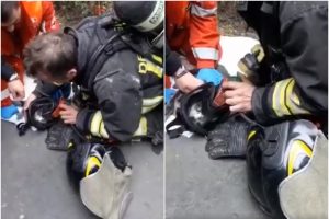 Nekasdienė užduotis: ugniagesiai išgelbėjo sąmonę praradusį kačiuką (vaizdo įrašas)