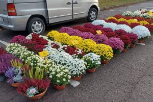 Prie kapinių – prekyba gėlėmis: tikino, kad šiemet kainų nekėlė