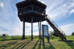 Apžvalgos bokštas „Burė“ Nemuno deltos parke turėtų iškilti iki metų pabaigos