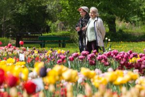 Seimas dar neapsisprendė dėl kompensacijų dirbusiems pensininkams