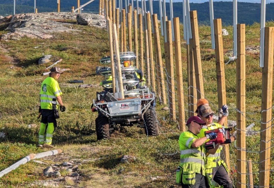 Norge gjenoppbygger et gjerde på grensen til Russland: de vil stoppe passasjen av reinsdyr