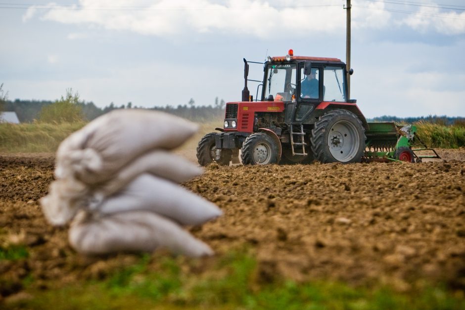 Nowe podatki dla rolników mogłyby wyprzeć litewską produkcję z rynku: zostałaby zastąpiona przez polską