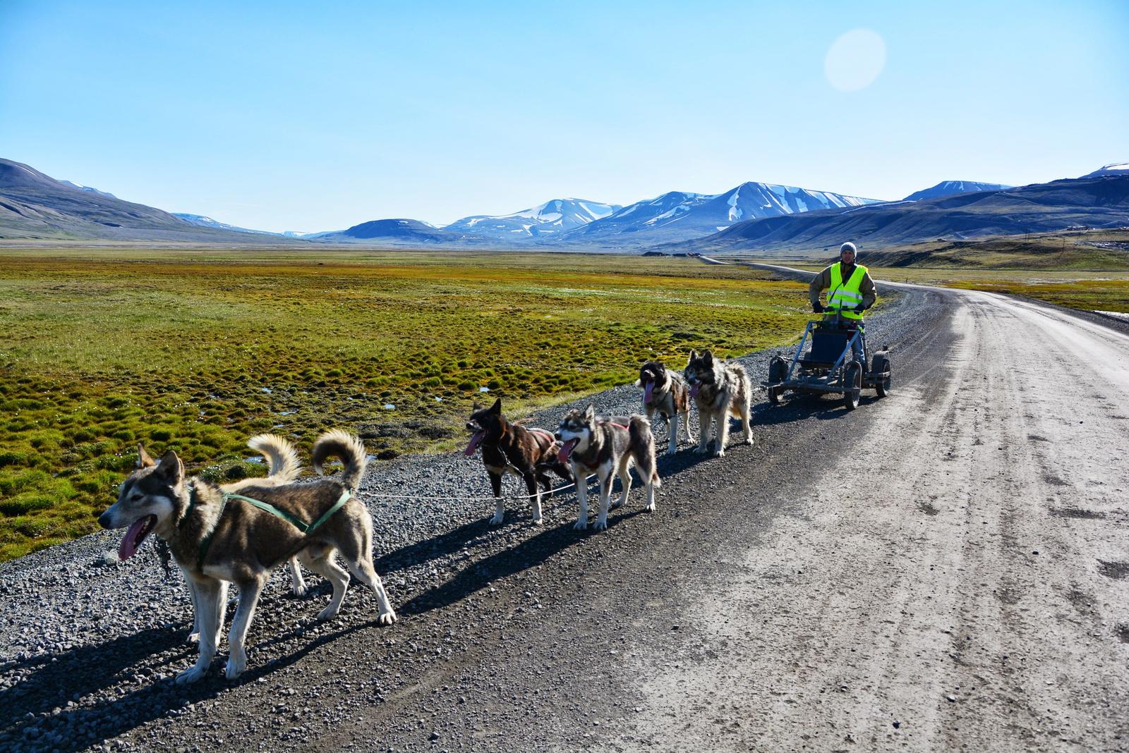 En reise hvor det er forbudt å dø